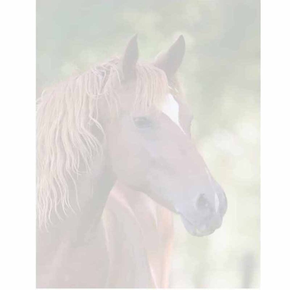 Horse Stationery 8.5" x 11" Letter Paper